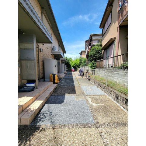 ヴェヌスタ郡津のその他