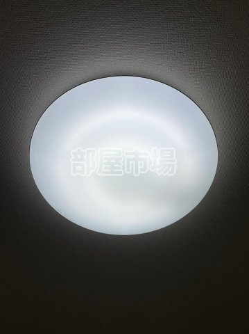 ビーカーサ隅田桜橋の設備|照明付き