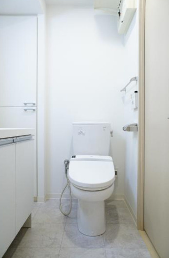 マイプレジール広尾のトイレ|落ち着いた色調のトイレです