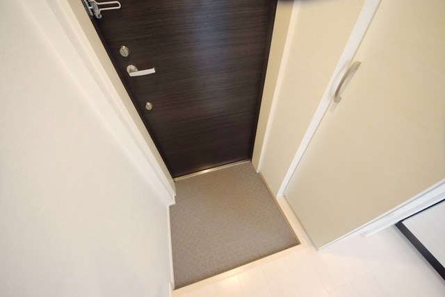ステラ住吉の玄関