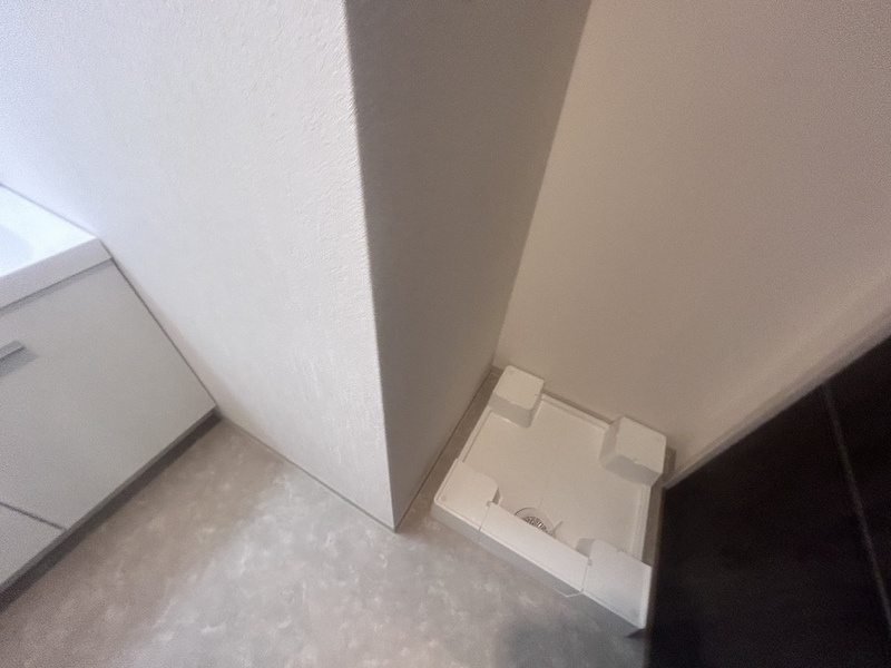 ベルンガーデン上本町の洗面所
