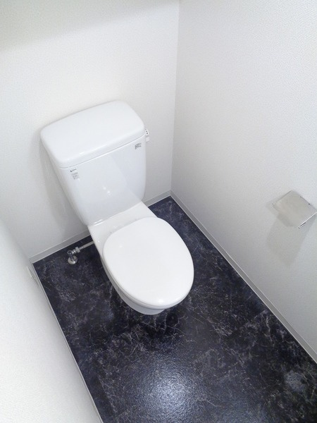 ハーモニーレジデンス府中の杜のトイレ|トイレも気になるポイント