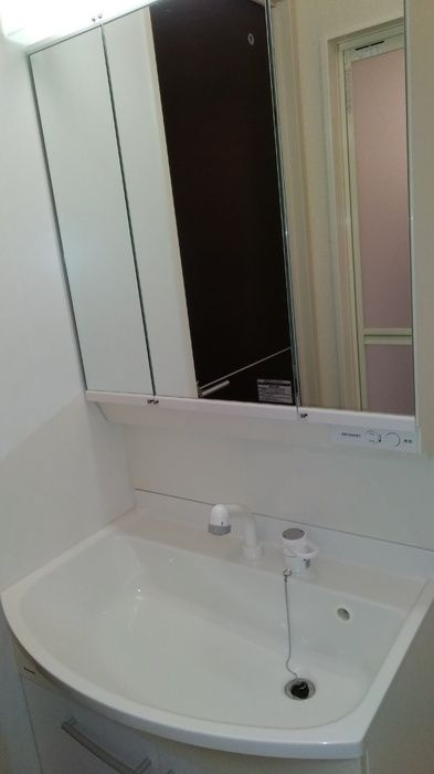 フェリスさくらⅢの洗面所