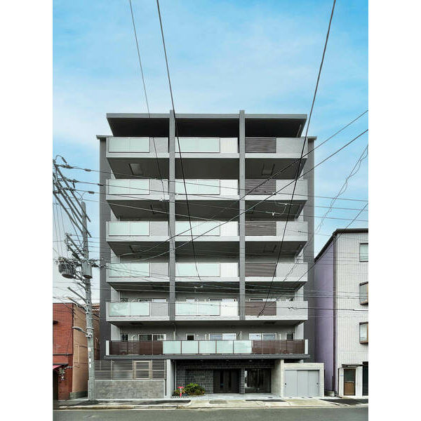 KAUNIS LUSSOのその他
