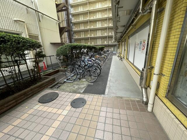 東京ベイビュウ(トウキョウベイビュウ)のその他