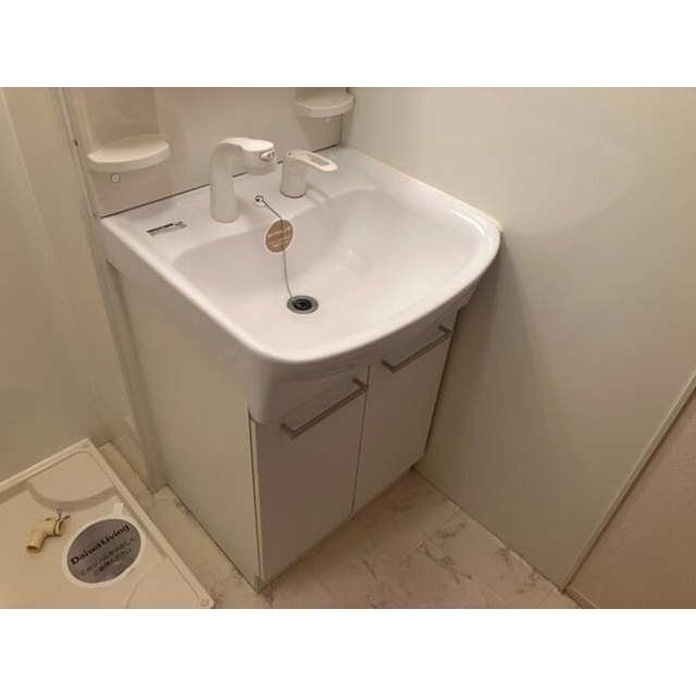 ボナール伏見の洗面所