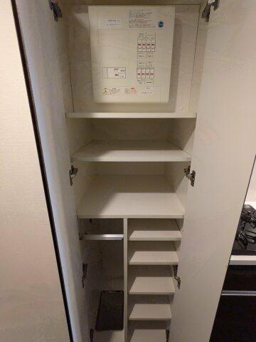 ケーディーエックスレジデンス豊洲の収納