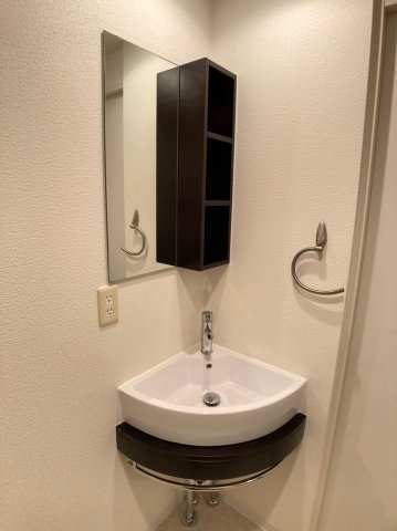 エステムコート難波EASTレオルガの洗面所