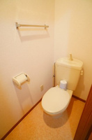 落ち着いた色調のトイレです