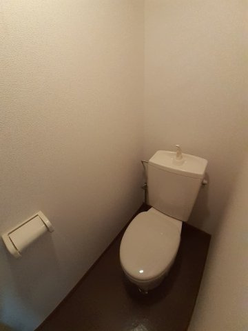 落ち着いた色調のトイレです