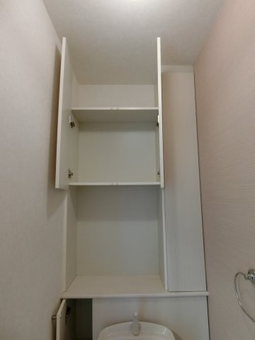 レセンテG・Tの収納