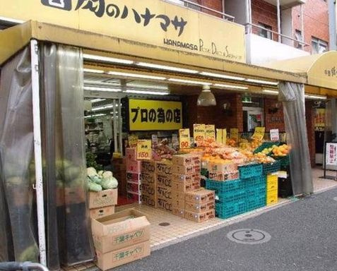 ステラ住吉の周辺
