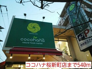 プリムローズ（Ｐｒｉｍｒｏｓｅの周辺|ココハナ桜新町店まで540m