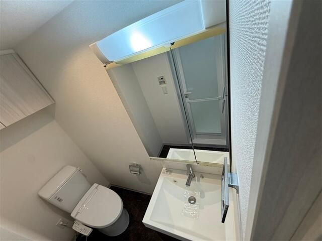 ＡＸＡＳ神楽坂Ｓｔａ．の洗面所