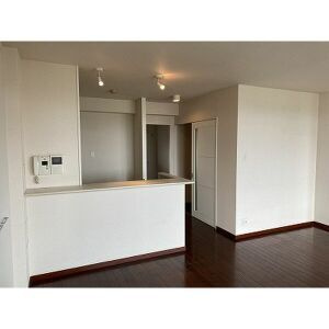 福岡市早良区西新２丁目の賃貸マンションの内装