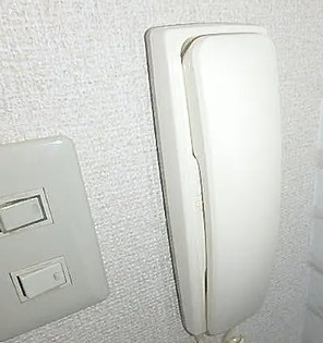 ヴィオレッテ王子のセキュリティ
