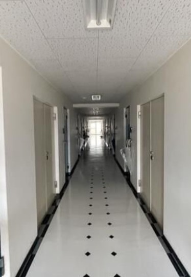 ＷＡＶＥＳのその他