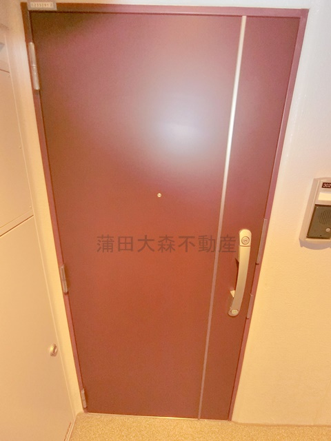 グランドラインⅢの玄関