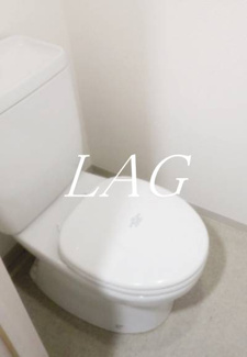 【トイレ】 | ラグジュアリーアパートメント本郷 | トイレです。