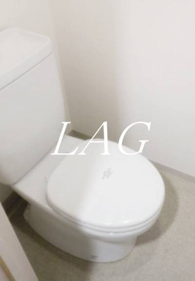 【トイレ】 | ラグジュアリーアパートメント本郷 | トイレです。