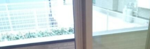デイライトの展望