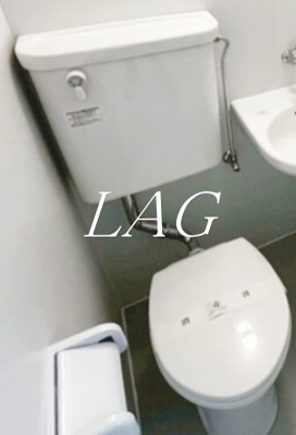 【トイレ】 | 大迫ハイツ | トイレです。
