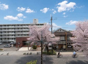 デュオ大宮桜並木通りの周辺|春には満開の桜が街並みを彩り、季節の移ろいを身近に感じられる住環境。落ち着いた街並みに調和するマンションで、穏やかで心地よい暮らしが叶います。周辺環境もチェック！地域情報満載の当店にお任せください。