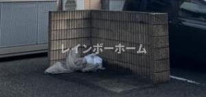 ジェンティールのその他