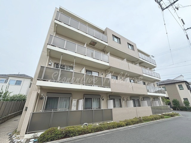 コントウィスタ