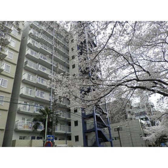 【外観】 | パークロード相模原(パークロードサガミハラ)
