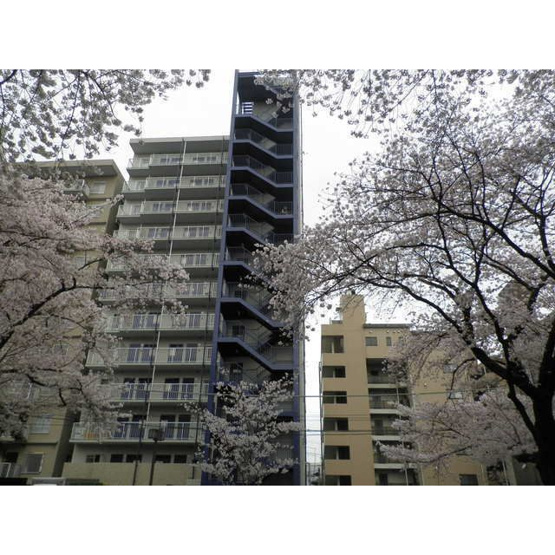 【外観】 | パークロード相模原(パークロードサガミハラ)