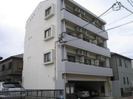 メイシービルの画像