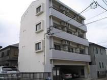 メイシービルの画像