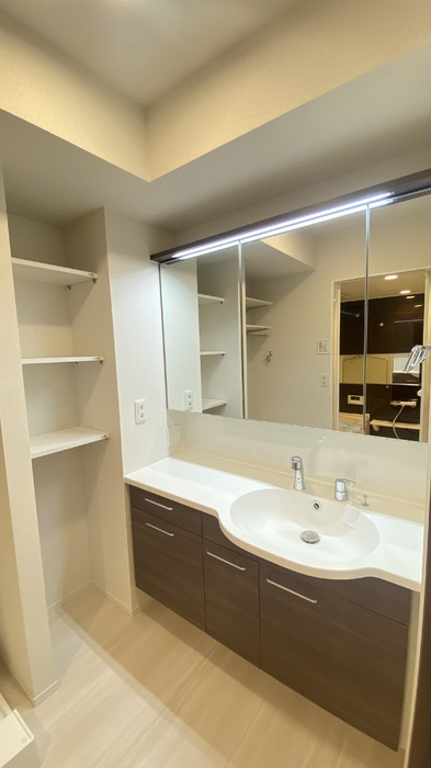 D-residence　鳳中町の独立洗面台