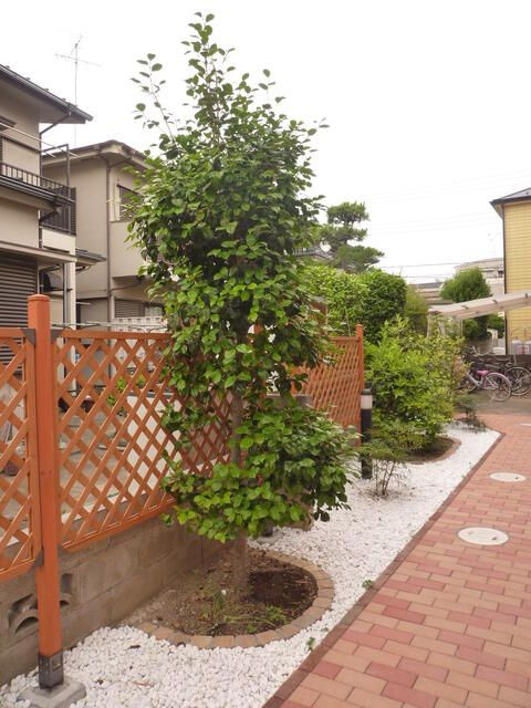 リチネ日吉のその他