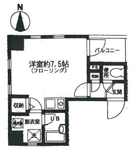 レクス若松