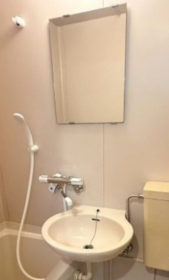 ルミエールⅡの洗面所