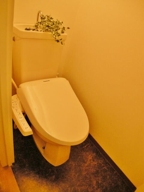 Ｂｒｉｃｋ　Ｍａｉｓｏｎ１．のトイレ