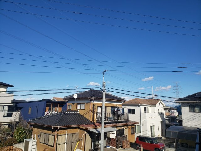 レオネクストエルヴィータのその他