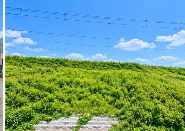 藤井寺市川北３丁目の展望|大和川の堤防が近く、緑豊かな景色を身近に感じられる住環境です。