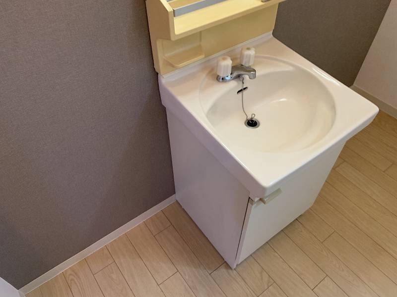 グリーンヒル清水の洗面所
