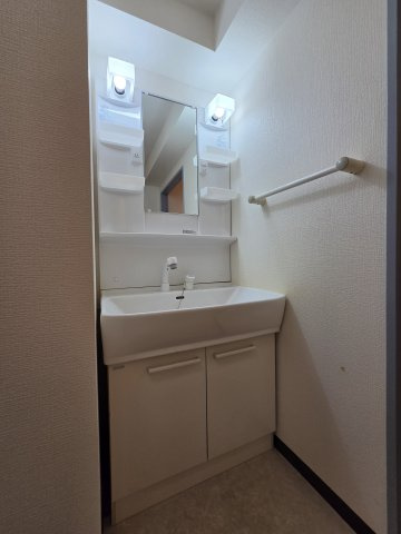 パストラルハイムの洗面所