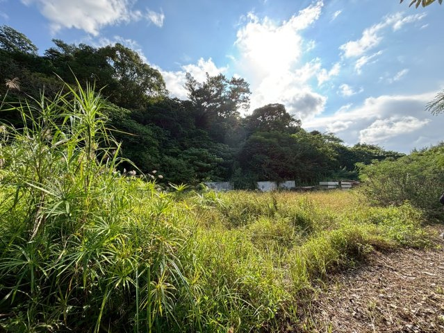 名護市二見6筆(2757.89坪)の外観