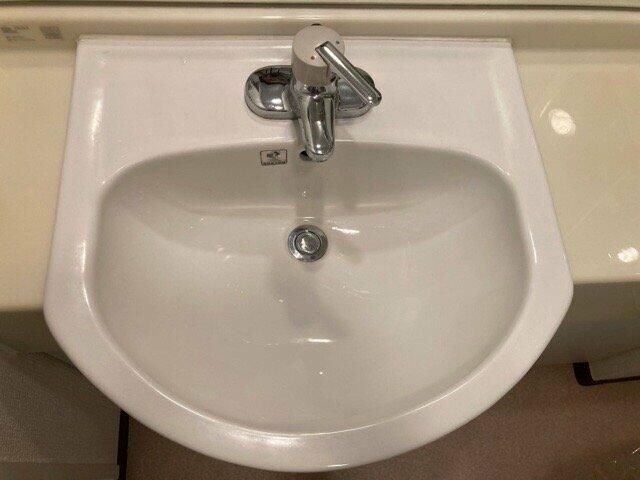 パレステュディオ麹町の洗面所