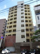 Primaveraの画像