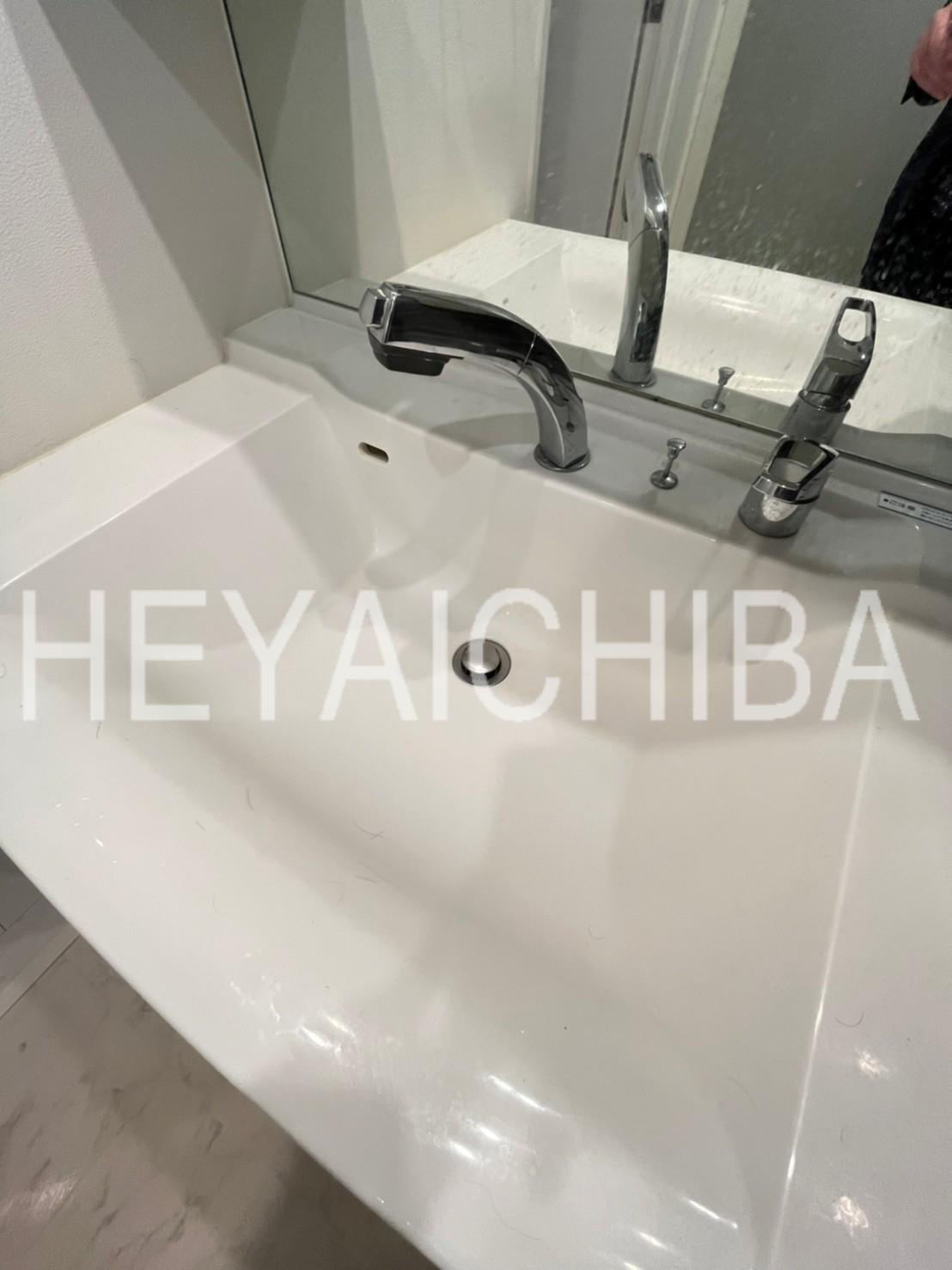 アイル上野の森NORTHの洗面所