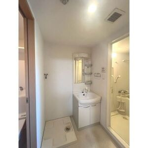 COZY APARTMENT YADA の洗面所