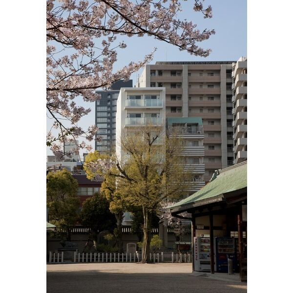 SK大阪天満宮プライマリーワンのその他