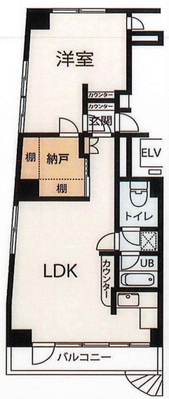 グレース文京の間取り