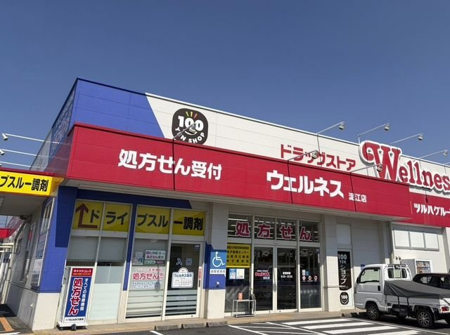フロレゾン　Ｂの周辺|ドラッグストアウェルネス淀江店まで1800m